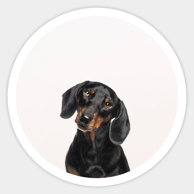 Dachsy the Dachshound Dog Sticker by Vin Zzep